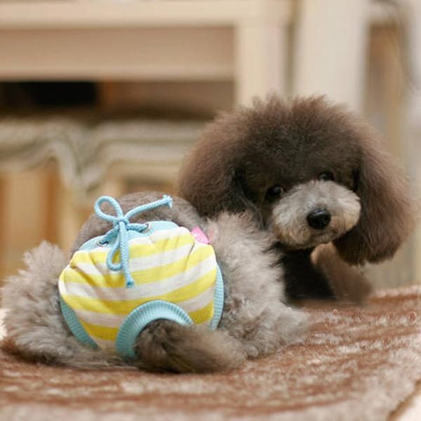 dog apparel colorful panty shorts pants underwear pets dogs dedecotive puppy diaper striped polka dots sanitary
dog apparel colorful panty shorts pants underwear pets dogs dedecotive puppy diaper striped polka dots sanitary