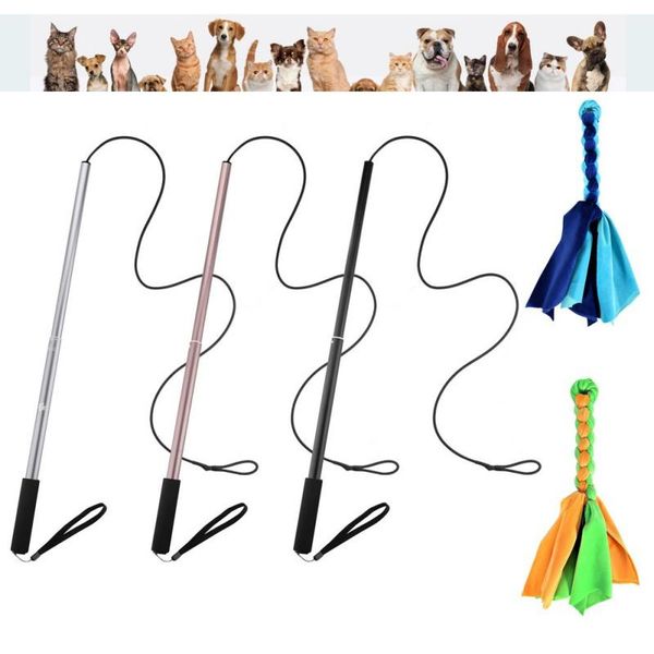 interactive chew toys cat dog with 2pcs braided rope tugs tease dogs retractable wand stick for outdoor ent q
interactive chew toys cat dog with 2pcs braided rope tugs tease dogs retractable wand stick for outdoor ent q