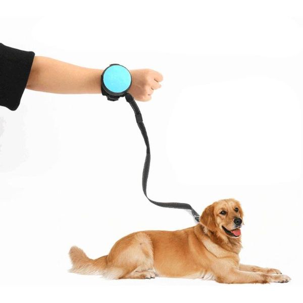 dog collars & leashes pet hands-automatic shrink nylon leash pets pull chains traction ropes
dog collars & leashes pet hands-automatic shrink nylon leash pets pull chains traction ropes