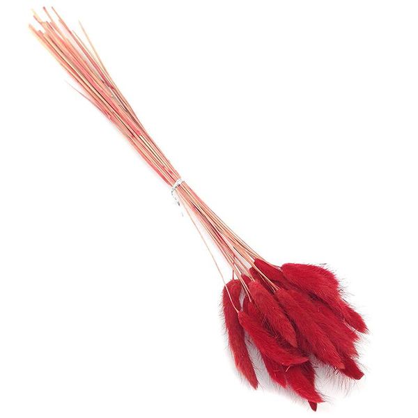 dried flower bouquet artificial lagurus ovatus decoration for home el wedding k9store decorative flowers & wreaths
dried flower bouquet artificial lagurus ovatus decoration for home el wedding k9store decorative flowers & wreaths