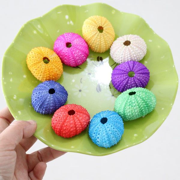 10pcs 3.5-5 cm natural small colors sea urchin shell conch beach wedding decoration coastal home novelty items
10pcs 3.5-5 cm natural small colors sea urchin shell conch beach wedding decoration coastal home novelty items
