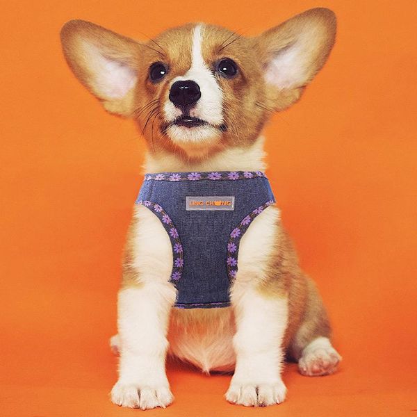 dog collars & leashes harness easy on and off comfort control- no pull choke design, luxurious padded vest, eco-friendly puppies dogs
dog collars & leashes harness easy on and off comfort control- no pull choke design, luxurious padded vest, eco-friendly puppies dogs