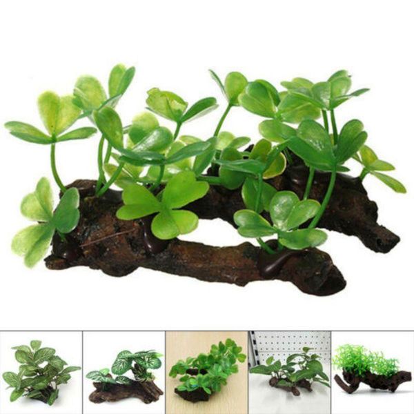 simulation green hanging leaves for fish tank reptile feeder box decor aquarium accessories artificial fake aquatic plants decorations
simulation green hanging leaves for fish tank reptile feeder box decor aquarium accessories artificial fake aquatic plants decorations