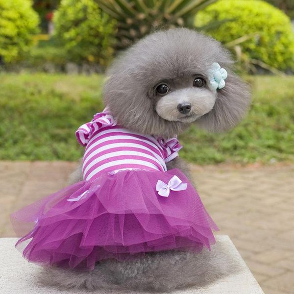 dog apparel for small puppy pink purple stripe dresses bow-knot lace tutu dress skirt clothes summer overalls chihuahua teddy xs-xxl
dog apparel for small puppy pink purple stripe dresses bow-knot lace tutu dress skirt clothes summer overalls chihuahua teddy xs-xxl