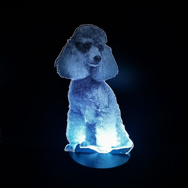 poodle led night light 3d illusion color changing nightlight for home decoration bedside table lamp gift
poodle led night light 3d illusion color changing nightlight for home decoration bedside table lamp gift