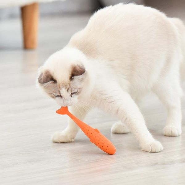 cat toys pet toothbrush fish-shaped soft silicone fish toy catnip clean teeth cleaning chew
cat toys pet toothbrush fish-shaped soft silicone fish toy catnip clean teeth cleaning chew