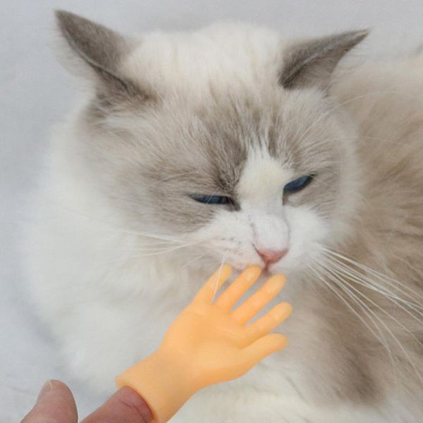 cat toys finger hand teaser rod funny pet stroke small gloves interactive kitten playing wand sticks supplies
cat toys finger hand teaser rod funny pet stroke small gloves interactive kitten playing wand sticks supplies