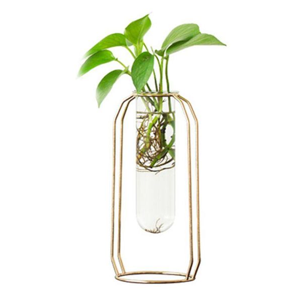 vases nordic glass cuvette vase modern gold plated iron flower fashion plant creative terrarium room home wedding decoration
vases nordic glass cuvette vase modern gold plated iron flower fashion plant creative terrarium room home wedding decoration