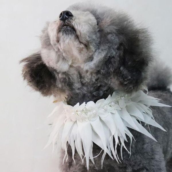 dog collars & leashes pet collar necklace adjustable scarf bib lace flower cat fashion wedding jewelry neck supplies
dog collars & leashes pet collar necklace adjustable scarf bib lace flower cat fashion wedding jewelry neck supplies