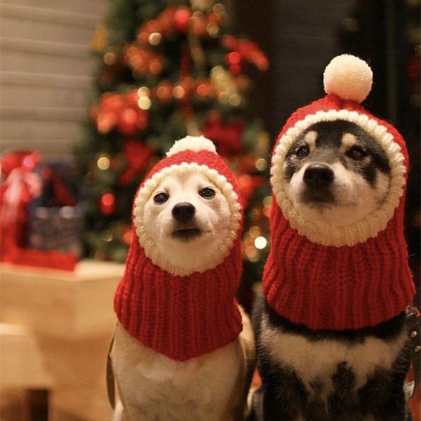 dog apparel winter pet cap hat christmas warm small cat hats pug accessories for medium large dogs man czapka dla psa
dog apparel winter pet cap hat christmas warm small cat hats pug accessories for medium large dogs man czapka dla psa