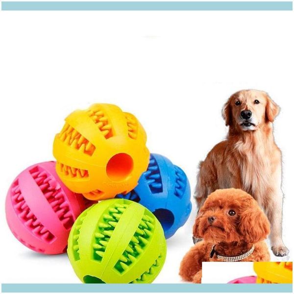 supplies home & gardenrubber chew ball dog training toys toothbrush chews toy food balls pet product ship 360061 vf9yh drop delivery 2021 ji
supplies home & gardenrubber chew ball dog training toys toothbrush chews toy food balls pet product ship 360061 vf9yh drop delivery 2021 ji