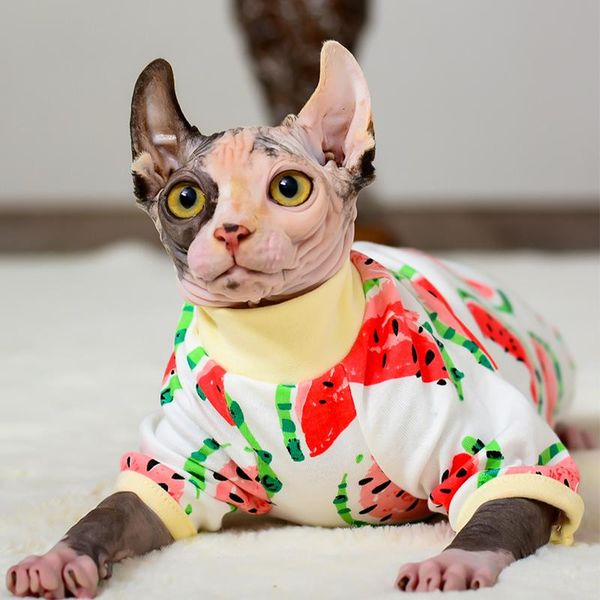 cat costumes cute clothes warm pet two-legged four-legged hairless clothing skin-friendly cotton kitten sweater for devon rex sphynx
cat costumes cute clothes warm pet two-legged four-legged hairless clothing skin-friendly cotton kitten sweater for devon rex sphynx