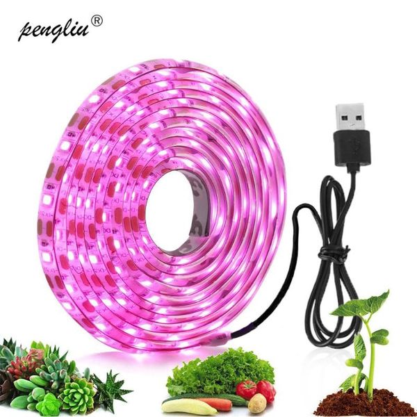 plant lights full spectrum usb grow light strip 0.5m 1m 2m 2835 dc5v led phyto lamps for plants flowers greenhouses hydroponic
plant lights full spectrum usb grow light strip 0.5m 1m 2m 2835 dc5v led phyto lamps for plants flowers greenhouses hydroponic