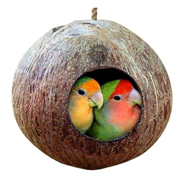 natural coconut shell bird cages parrot house nesting cage with hanging lanyard for small pet parakeets finches sparrows
natural coconut shell bird cages parrot house nesting cage with hanging lanyard for small pet parakeets finches sparrows