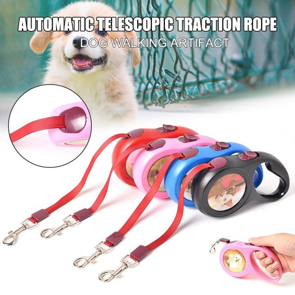 dog collars & leashes automatic retractable leash for small dogs puppy walking 3 meters pet supply hyd88
dog collars & leashes automatic retractable leash for small dogs puppy walking 3 meters pet supply hyd88