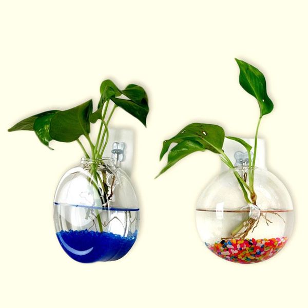 vases 1pcs diy living room background hanging wall glass vase fish tank flower house
vases 1pcs diy living room background hanging wall glass vase fish tank flower house