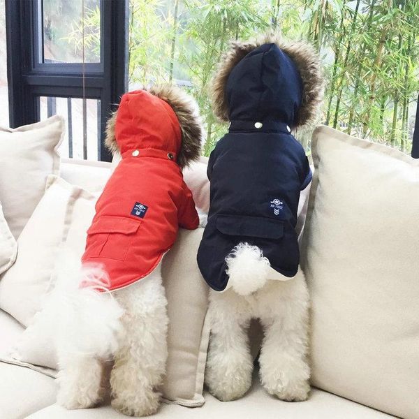 dogs cat cats japan and south korea autumn winter cotton clothing dog pet processing hooded down clothes apparel
dogs cat cats japan and south korea autumn winter cotton clothing dog pet processing hooded down clothes apparel