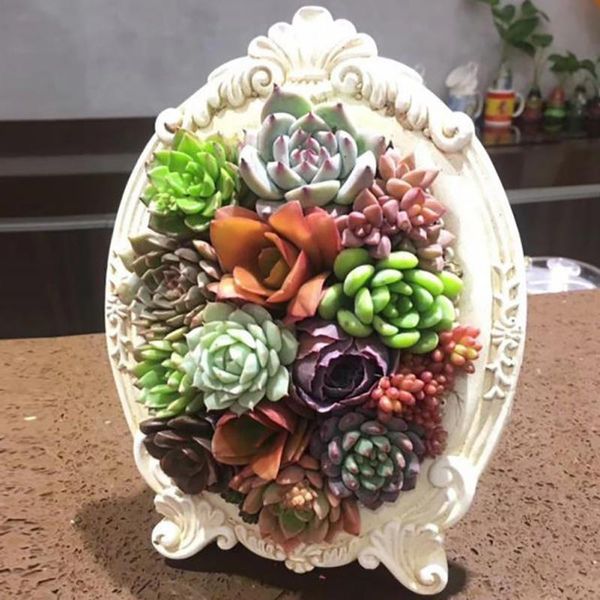 vases simulation succulent plants potted po frame wall decoration artificial flowers plant home 
vases simulation succulent plants potted po frame wall decoration artificial flowers plant home