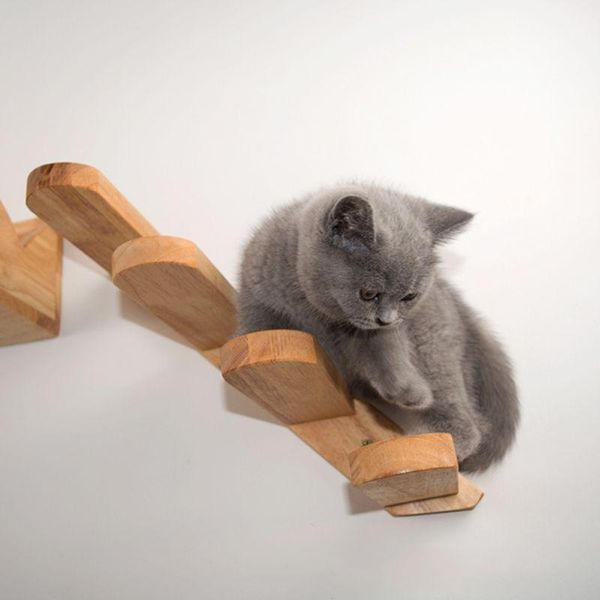 cat toys wall mounted climbing ladder frame pet furniture play house