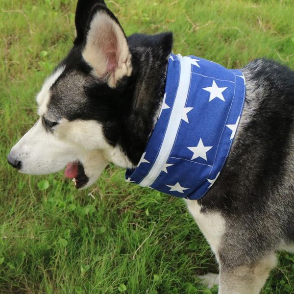 cat costumes summer pet dog cooling collar self cooler necklace drop heat scarf leash for products harness #
cat costumes summer pet dog cooling collar self cooler necklace drop heat scarf leash for products harness #
