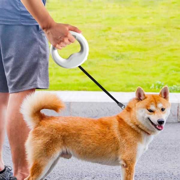running retractable dog leash rechargeable pet outdoor walking with led light travel portable ring style one handed collars & leashes
running retractable dog leash rechargeable pet outdoor walking with led light travel portable ring style one handed collars & leashes