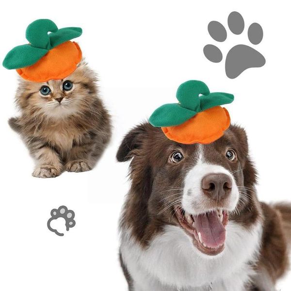 dog apparel pet funny headwear for cat halloween party decoration green leaf supplies shape kitten pumpkin hood hat p u6f5
dog apparel pet funny headwear for cat halloween party decoration green leaf supplies shape kitten pumpkin hood hat p u6f5