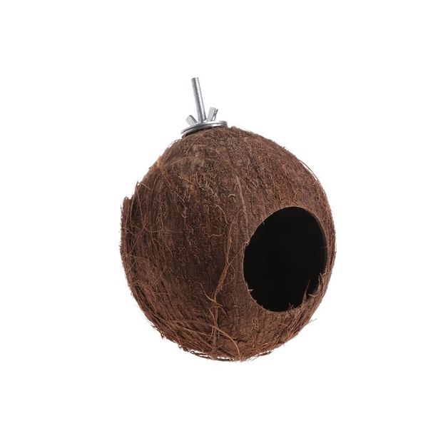 bird parrot finch nest natural coconut shell hanging chain cage toys swing house %328/38 cages
bird parrot finch nest natural coconut shell hanging chain cage toys swing house %328/38 cages