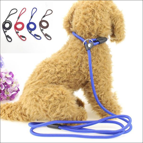 dog collars & leashes nylon leash walking traction rope outdoor pet training running safety lead adjustable collar supplies
dog collars & leashes nylon leash walking traction rope outdoor pet training running safety lead adjustable collar supplies