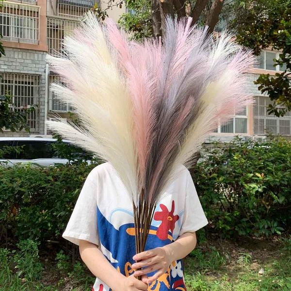 decorative flowers & wreaths artificial pampas grass grey/white/pink dried reed bouquet fake plant for christmas home decor wedding bunch
decorative flowers & wreaths artificial pampas grass grey/white/pink dried reed bouquet fake plant for christmas home decor wedding bunch