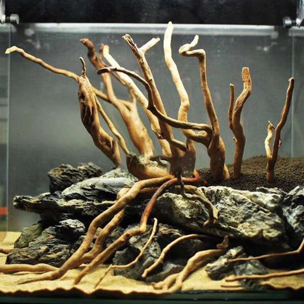 5pcs home ornament underwater root decor fish tank aquarium plant landscape decorations
5pcs home ornament underwater root decor fish tank aquarium plant landscape decorations