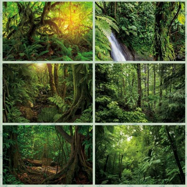 spring forest backdrop for pography nature scene po background theme party decoration pobooth props
spring forest backdrop for pography nature scene po background theme party decoration pobooth props