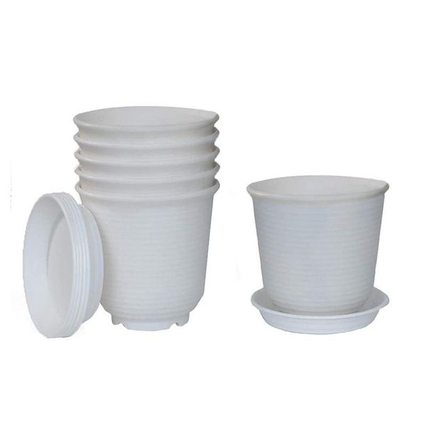 garden plastic flower plant pots set indoor modern planters for house plants amaryllis foliage decorative flowers & wreaths
garden plastic flower plant pots set indoor modern planters for house plants amaryllis foliage decorative flowers & wreaths