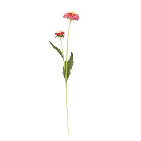 decorative flowers & wreaths sinensis imitation flower daisy silk fall decor wedding home party decoration artificial garden rose
decorative flowers & wreaths sinensis imitation flower daisy silk fall decor wedding home party decoration artificial garden rose