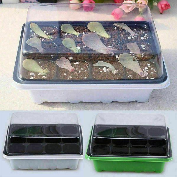 planters & pots leaf seed starter tray 12/24 cells seedling trays kit propagator set with dome and base garden nursery
planters & pots leaf seed starter tray 12/24 cells seedling trays kit propagator set with dome and base garden nursery