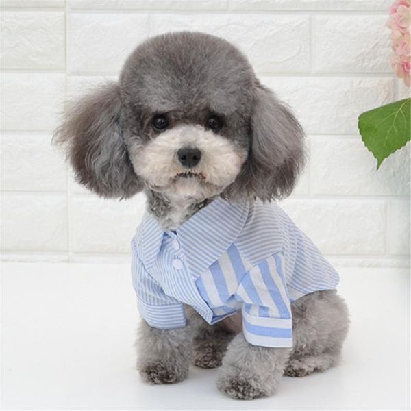 dog apparel summer shirt small pet puppy cat clothes chihuahua poodle bichon pomeranian schnauzer clothing coat costume
dog apparel summer shirt small pet puppy cat clothes chihuahua poodle bichon pomeranian schnauzer clothing coat costume