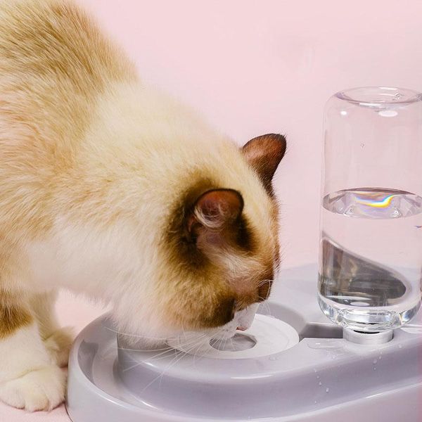 cat bowls & feeders double bowl water dispenser dog automatic storage pet food with fountain dogs feeder dish supplies
cat bowls & feeders double bowl water dispenser dog automatic storage pet food with fountain dogs feeder dish supplies