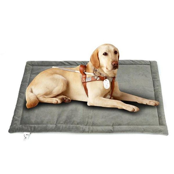 kennels & pens pet puppy cats bed sofa dog mat kennel cotton cloth nest for small medium dogs soft pad warm winter accessories a
kennels & pens pet puppy cats bed sofa dog mat kennel cotton cloth nest for small medium dogs soft pad warm winter accessories a