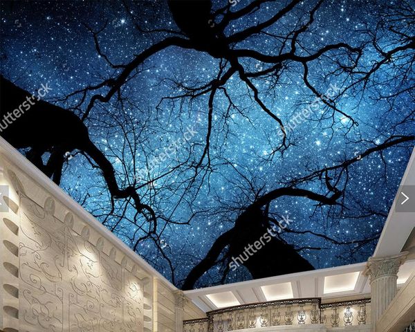 wallpapers custom ceiling wallpaper, beautiful night sky, for living room ktv restaurant children background wall papel de parede
wallpapers custom ceiling wallpaper, beautiful night sky, for living room ktv restaurant children background wall papel de parede