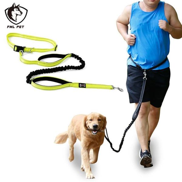 dog collars & leashes fml pet leash reflective hands for running jogging training bungee walking hiking outdoor large dogs lead
dog collars & leashes fml pet leash reflective hands for running jogging training bungee walking hiking outdoor large dogs lead