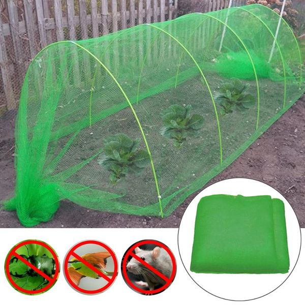 colanders & strainers garden mosquito bug insect netting barrier bird net plant protect mesh 2021 arival for home diygarden
colanders & strainers garden mosquito bug insect netting barrier bird net plant protect mesh 2021 arival for home diygarden