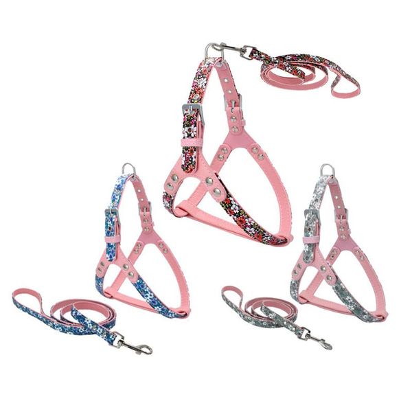 dog collars & leashes pu small flower harness and leash set chihuahua leather for pet accessories blue red green
dog collars & leashes pu small flower harness and leash set chihuahua leather for pet accessories blue red green