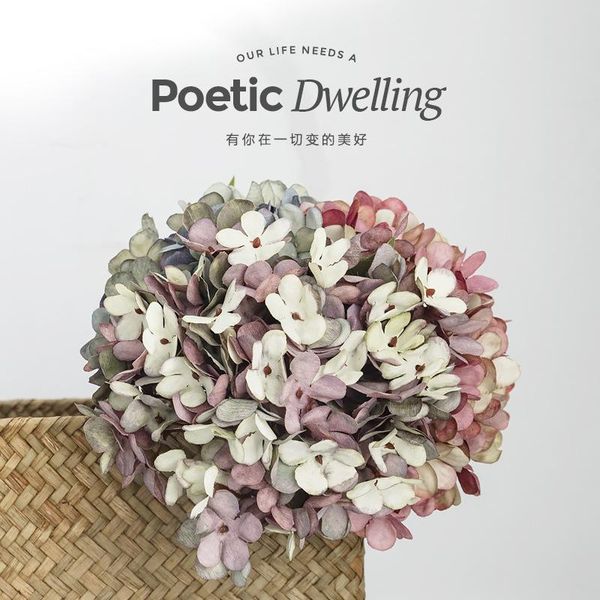 decorative flowers & wreaths single bottle brazil hydrangea artificial flower series nordic high-end silk texture
decorative flowers & wreaths single bottle brazil hydrangea artificial flower series nordic high-end silk texture