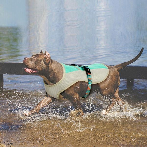 dog apparel summer cooling vest coat jacket for dogs adjustable pet mesh reflective cooler harnesses quick release
dog apparel summer cooling vest coat jacket for dogs adjustable pet mesh reflective cooler harnesses quick release