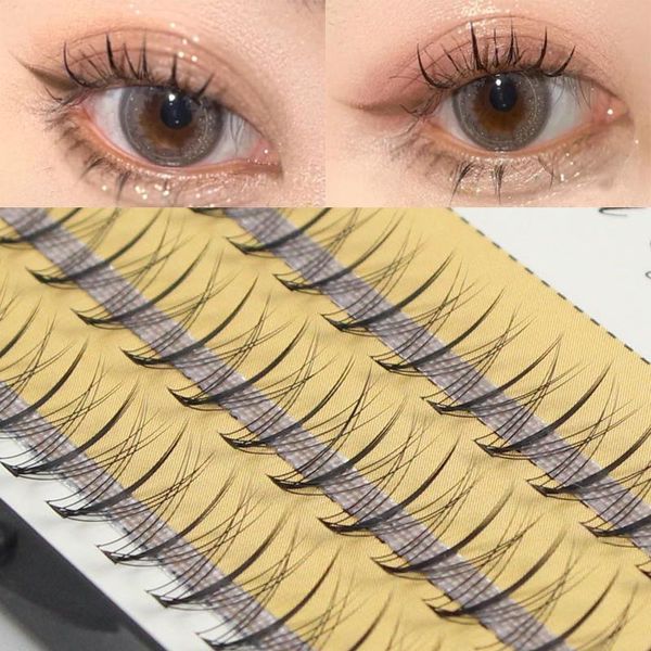 false eyelashes 60 bundles 3d mink eyelash extension natural russian volume faux individual 20d cluster lashes eyes makeup cilia
false eyelashes 60 bundles 3d mink eyelash extension natural russian volume faux individual 20d cluster lashes eyes makeup cilia
