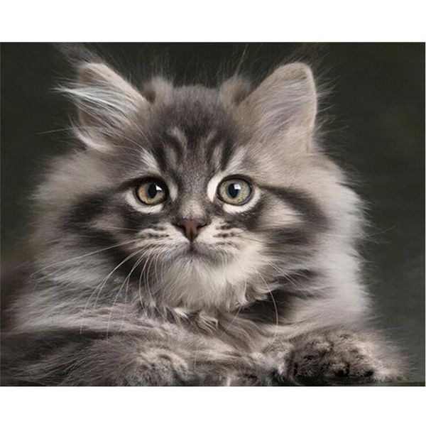 paintings painting by numbers cat for adults paint on canvas animal diy craft kits handmade picture drawing coloring home decor
paintings painting by numbers cat for adults paint on canvas animal diy craft kits handmade picture drawing coloring home decor
