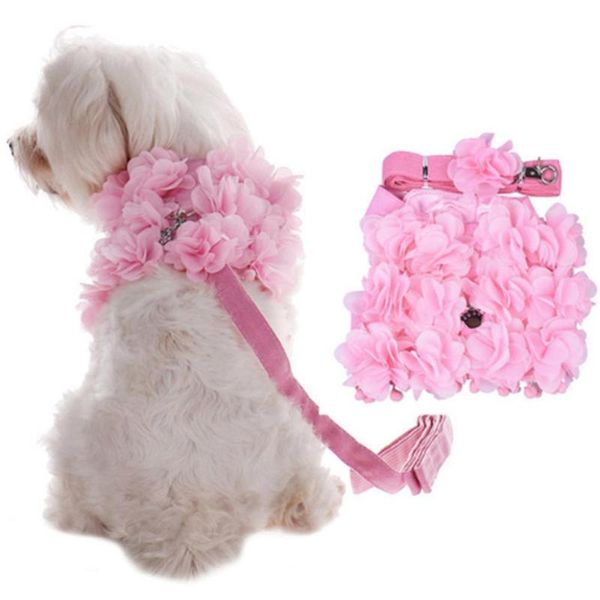 dog collars & leashes tpfocus breathable 3d pink flowers pet harness strap leash set for cats dogs soft comfortable strong 2021
dog collars & leashes tpfocus breathable 3d pink flowers pet harness strap leash set for cats dogs soft comfortable strong 2021