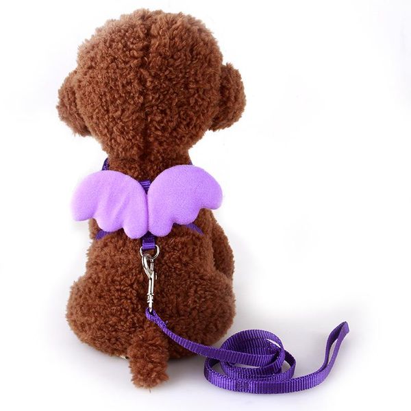 cat harness and leash set wings breathable collar harnesses vest for small medium dog collars & leads
cat harness and leash set wings breathable collar harnesses vest for small medium dog collars & leads