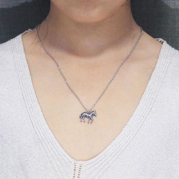 pendant necklaces 1pc 3d zebra stainless steel vintage cute animal casting pinto jewelry for kids men women gift, Silver
pendant necklaces 1pc 3d zebra stainless steel vintage cute animal casting pinto jewelry for kids men women gift, Silver