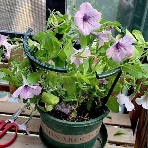 other garden supplies reusable plastic plant support stand half round gardening holder easy operation for courtyard balcony
other garden supplies reusable plastic plant support stand half round gardening holder easy operation for courtyard balcony