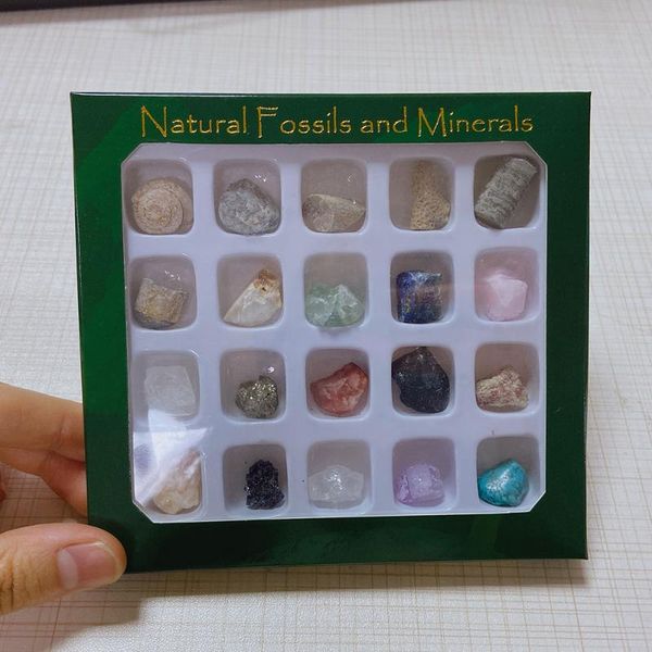 20pcs/set natural irregular stones box for children education home fossiles decor minerals crystals specimen collection gems decorative obje
20pcs/set natural irregular stones box for children education home fossiles decor minerals crystals specimen collection gems decorative obje